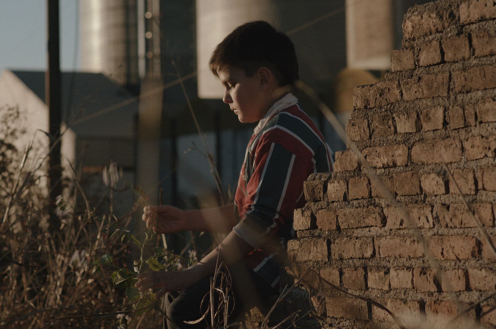 Audiovisuales: producciones cordobesas, en festivales internacionales