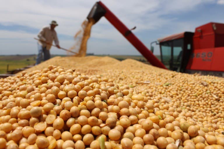 Para economistas, el campo será «el protagonista del crecimiento en 2024»