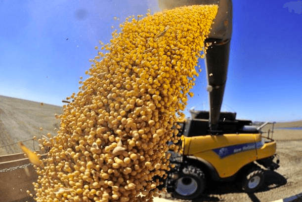 La agroindustria, paciente a la espera de baja de retenciones, pide por créditos e infraestructura