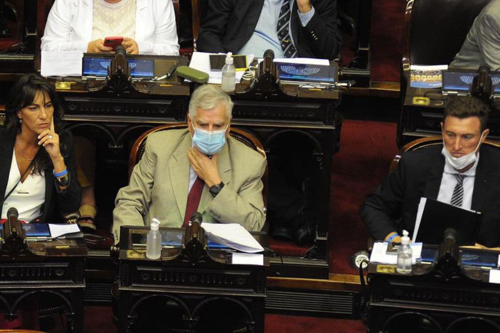 Combustibles y transporte, la agenda en común de schiarettistas y Juntos en el Congreso