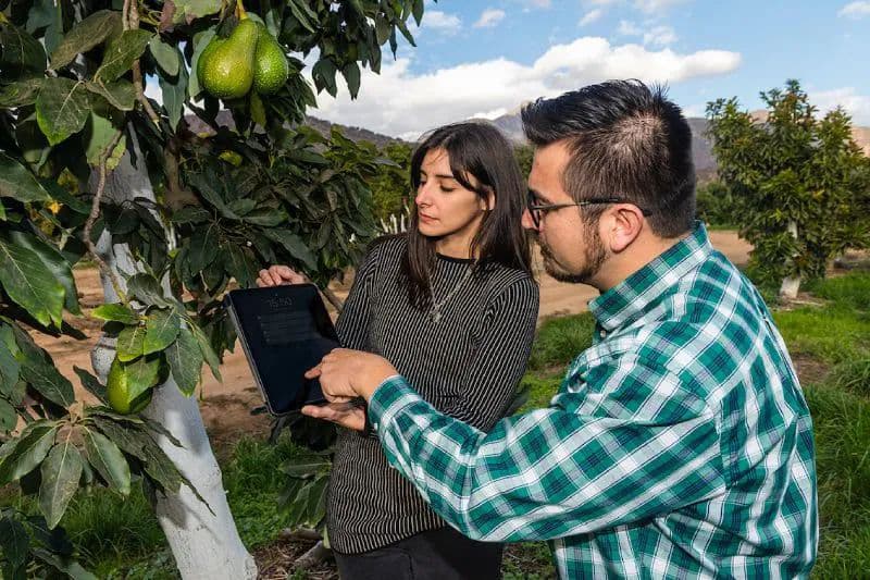 El mapa de negocios de Kilimo: expansión Latam, mirada global y próxima ronda por US$ 7 millones