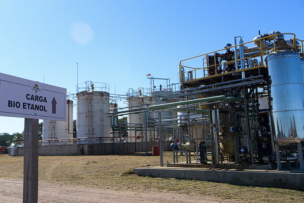 Establecimiento Las Chilcas se sumará a la producción de biodiésel