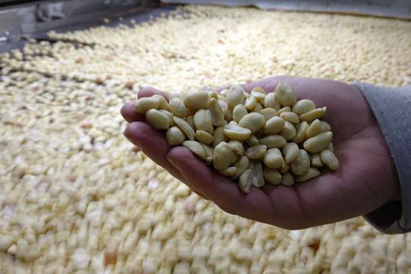 Gastaldi debutó en el mercado de capitales: lanzó su primera ON por US$2,5 millones