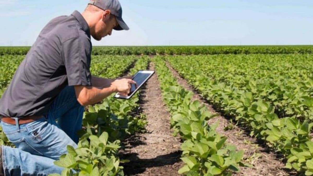 Cómo es ´Experta´ la apuesta de AGD para relanzar sus servicios tecnológicos