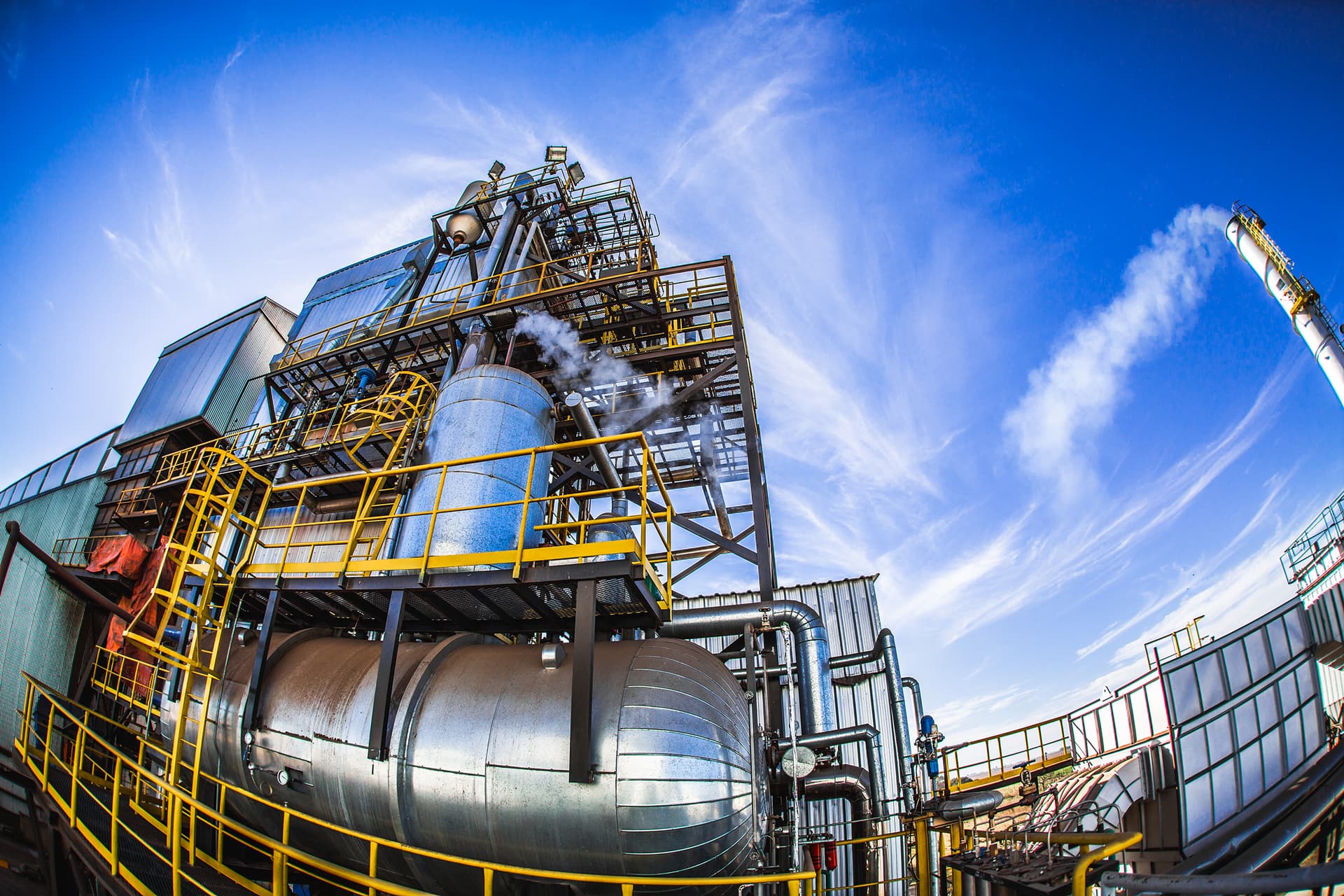 Prodeman expande su portfolio de mercado interno y suma unidades