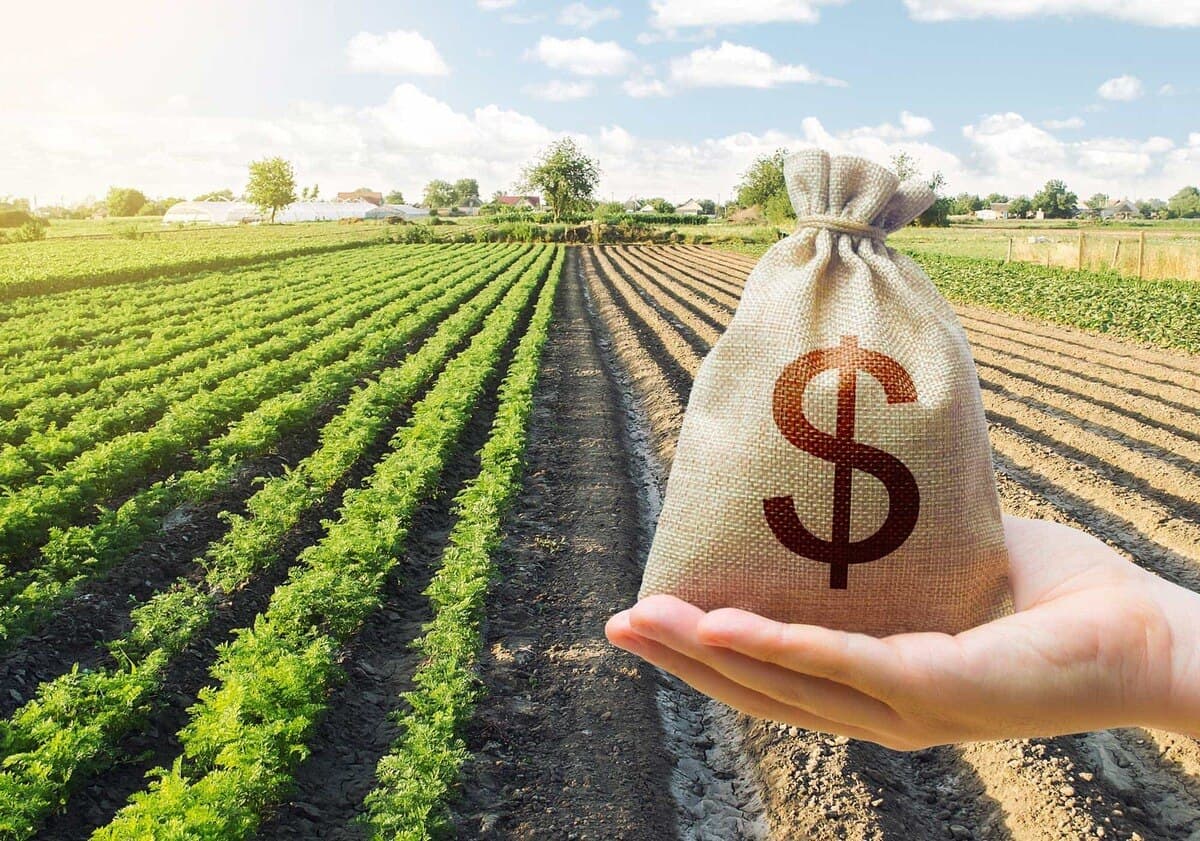 El Estado se queda con 80 de cada 100 pesos del agro