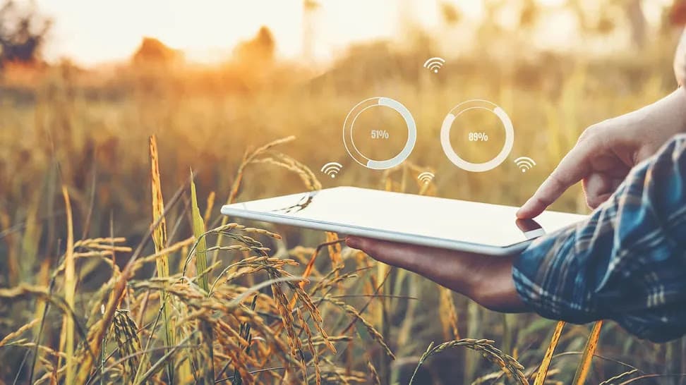 Cómo sumarse a CREALab, el programa de incubación para AgTech