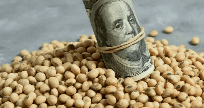 “No pedimos subsidios, solo que saquen el pie de encima”: el campo reclama por la suba de retenciones