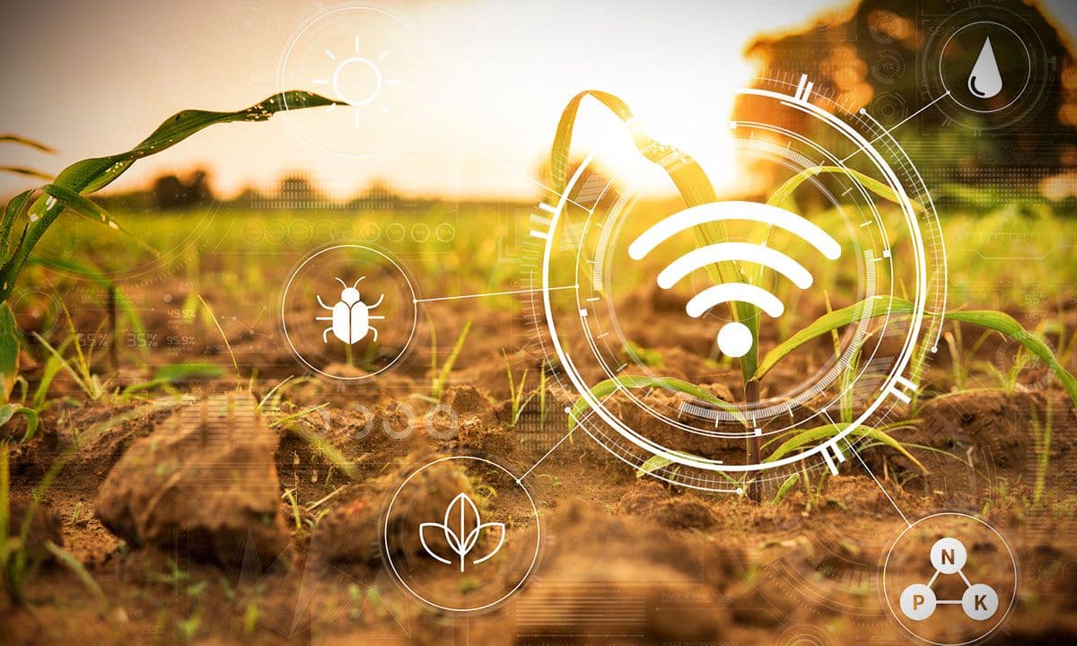 Los 5 proyectos tecnológicos que tiene en curso Argentina