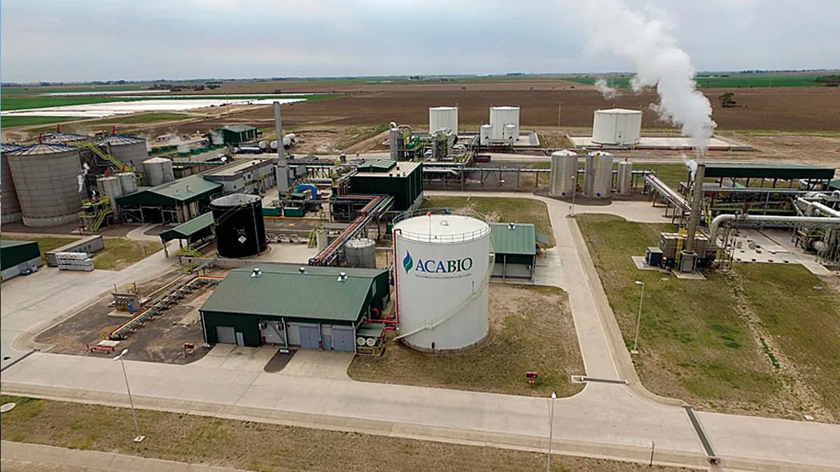 Especial Aniversario: mano a mano con ACA BIO para entender la bioeconomía y el potencial del sector