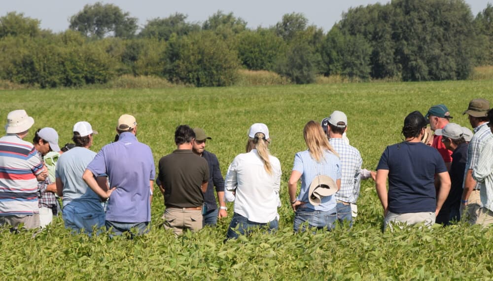 Encuesta SEA CREA: qué expectativas tienen los empresarios del agro