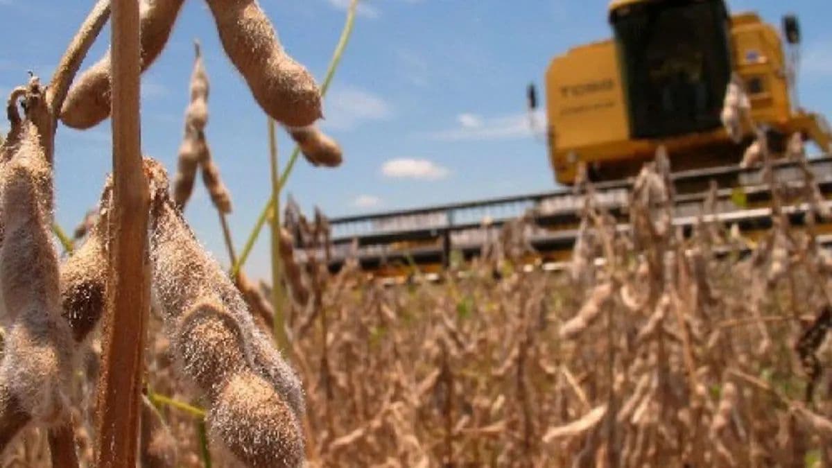 En 21 años, los productores argentinos aportaron US$150.000 millones a la economía