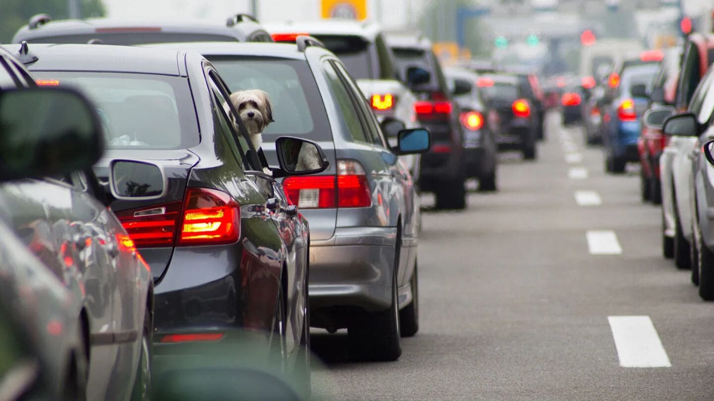 En el horno: qué porcentaje de autos circulan sin seguro en el país