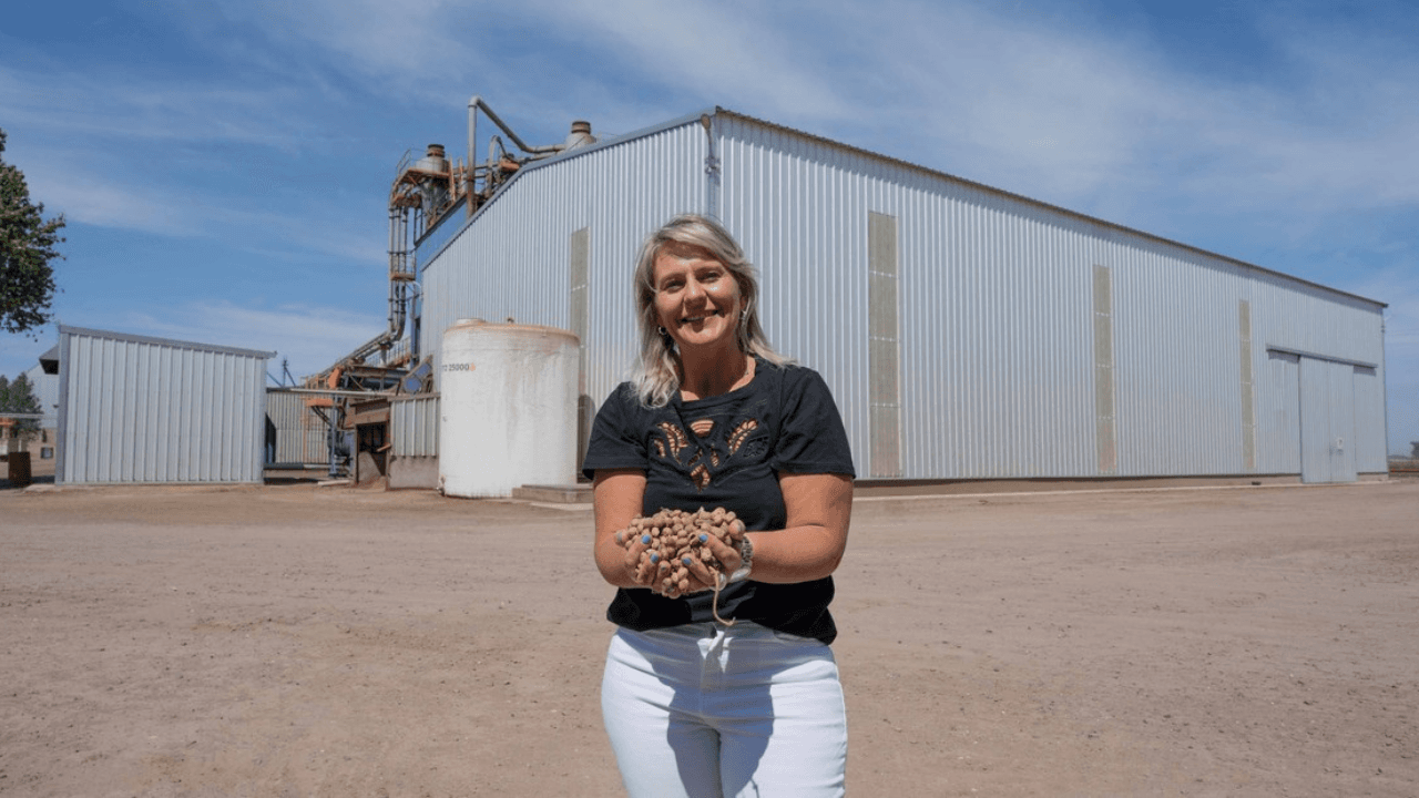 Prodeman se diversifica: el futuro no solo está en el maní,  sino también en cultivos como el maíz y la soja