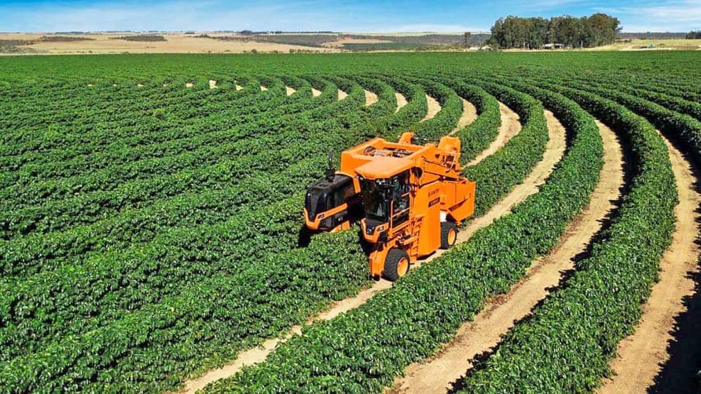 El agro a la espera del plan Milei: mejora la confianza en el agro, pero las inversiones siguen en pausa