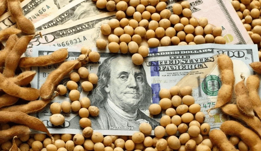 El agro generó 6 de cada 10 dólares que ingresaron al país en 2025: qué productos lideraron y cuáles fueron los destinos