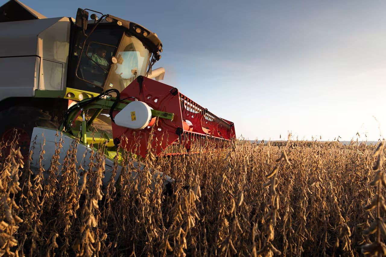 Baja de retenciones: por qué podría tener un costo fiscal nulo para el gobierno