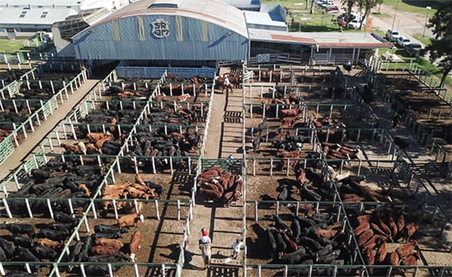 La Expo Rural de Jesús María agotó sus espacios y se prepara para su 78º edición