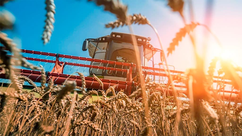 El campo de Córdoba prepara otro boom: espera la mayor producción de trigo de la historia