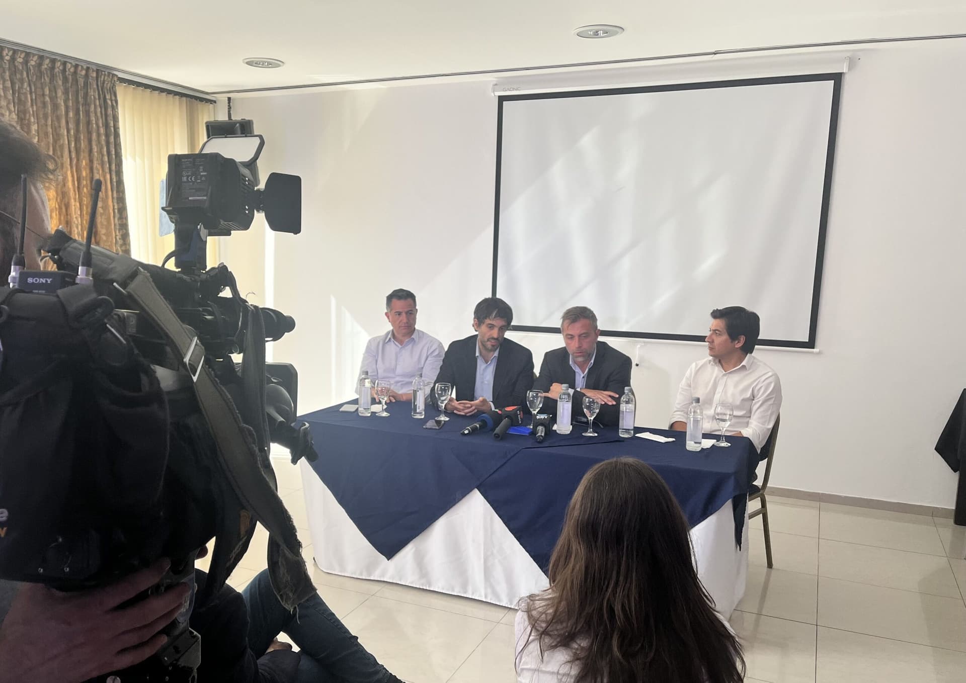 Furiase: «Las bandas cambiarias llegaron para quedarse mientras consolidamos la estabilidad»