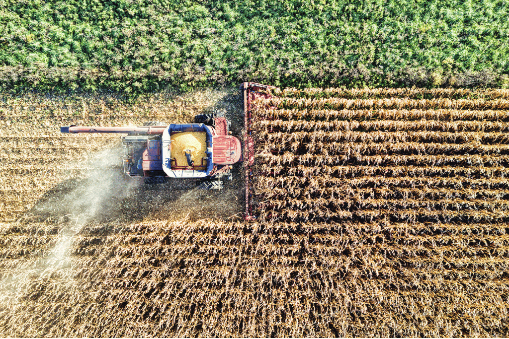 ¿Más caro o más competitivo? El mapa de costos del agro argentino frente a la región