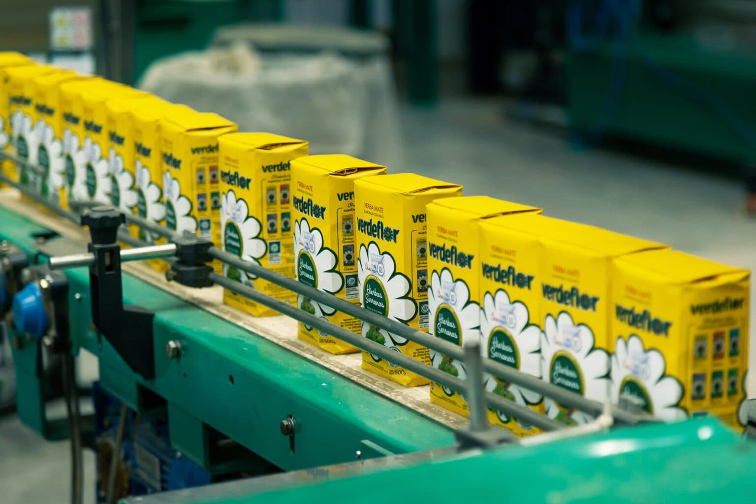 Verdeflor concreta exportación a República Checa y refuerza su expansión internacional