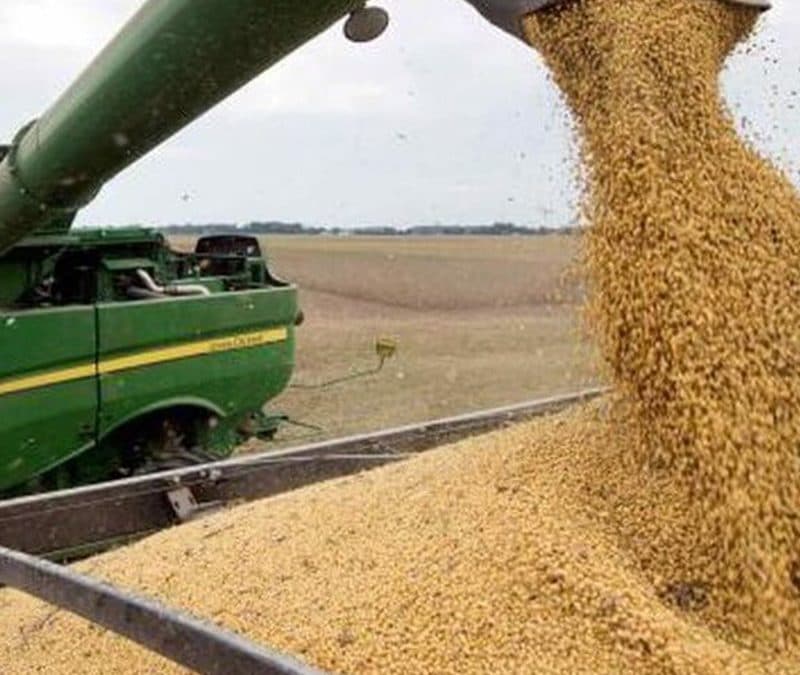 Las exportaciones rozaron un récord en 2025 y la agroindustria volvió a ser el motor de las divisas