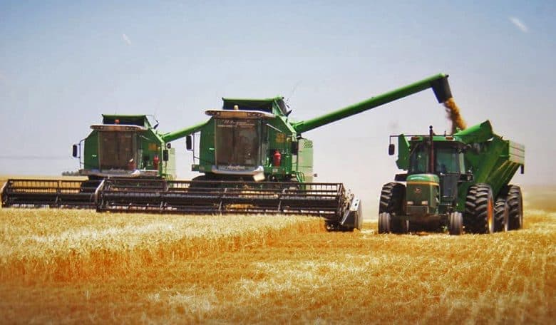 Campo pro Milei: el 95% de los productores del agro piensa que tendrá mejor rentabilidad